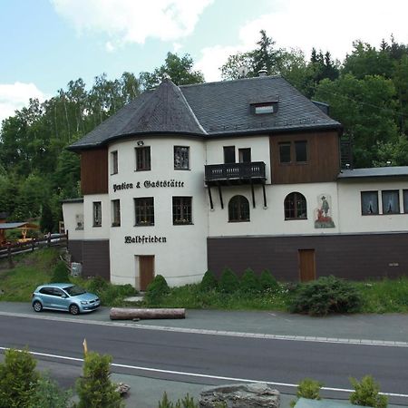Hotel Waldfrieden Elsterberg エクステリア 写真