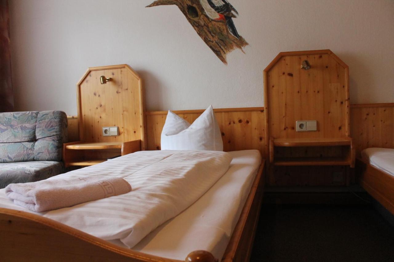 Hotel Waldfrieden Elsterberg エクステリア 写真