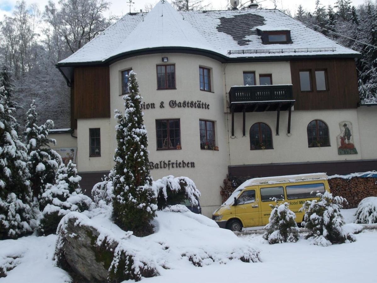 Hotel Waldfrieden Elsterberg エクステリア 写真