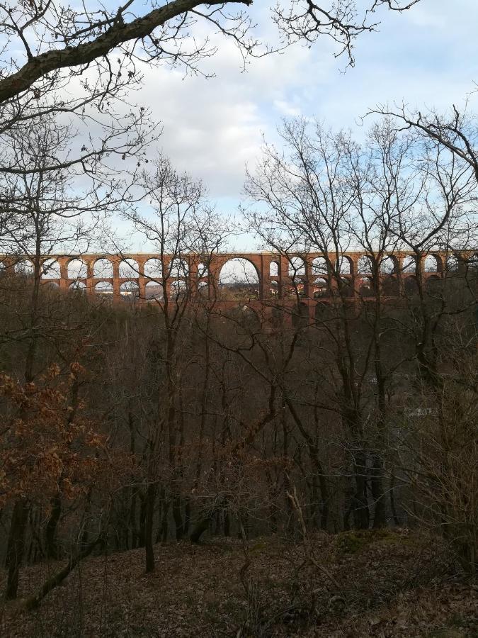 Hotel Waldfrieden Elsterberg エクステリア 写真